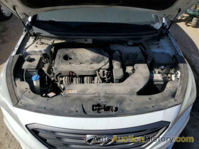 HYUNDAI SONATA SPORT, 5NPE34AF2GH343249