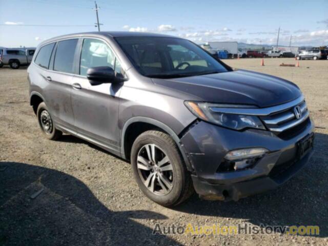 HONDA PILOT EX, 5FNYF5H3XHB022646