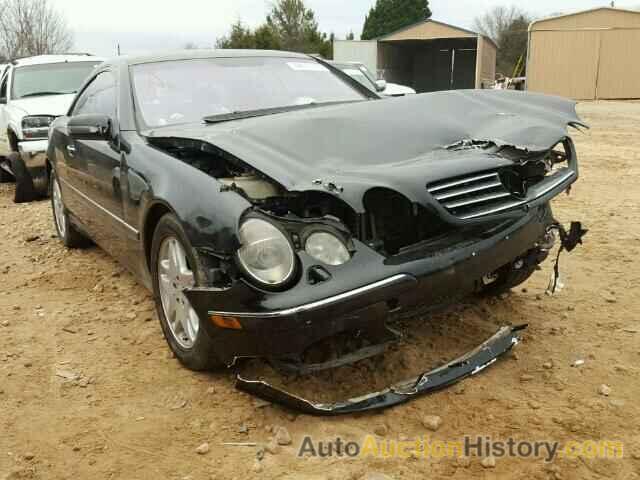 2002 MERCEDES-BENZ CL500, WDBPJ75JX2A027174