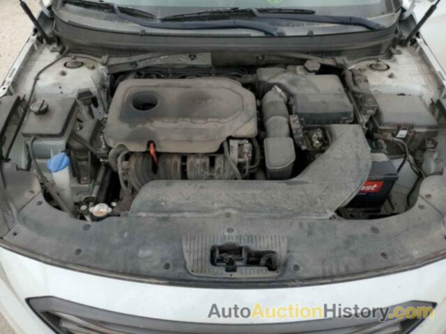 HYUNDAI SONATA SPORT, 5NPE34AF7FH233294