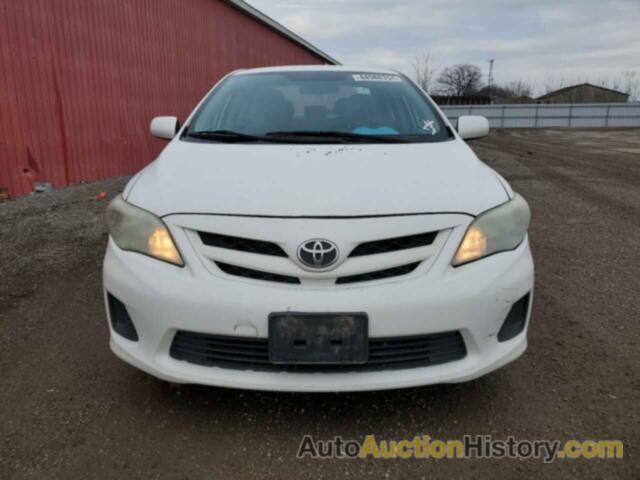 TOYOTA COROLLA BASE, 2T1BU4EE3CC885099