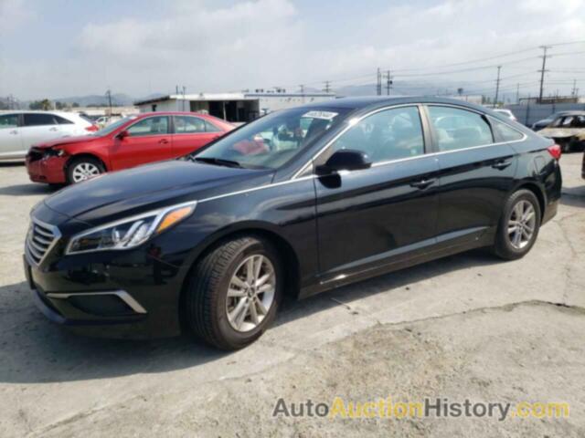 HYUNDAI SONATA ECO, 5NPE24AA7HH494788