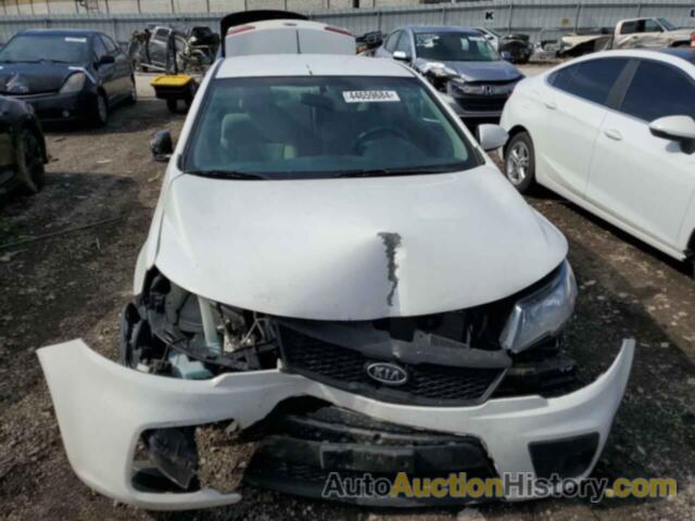 KIA FORTE EX, KNAFU6A24A5161339