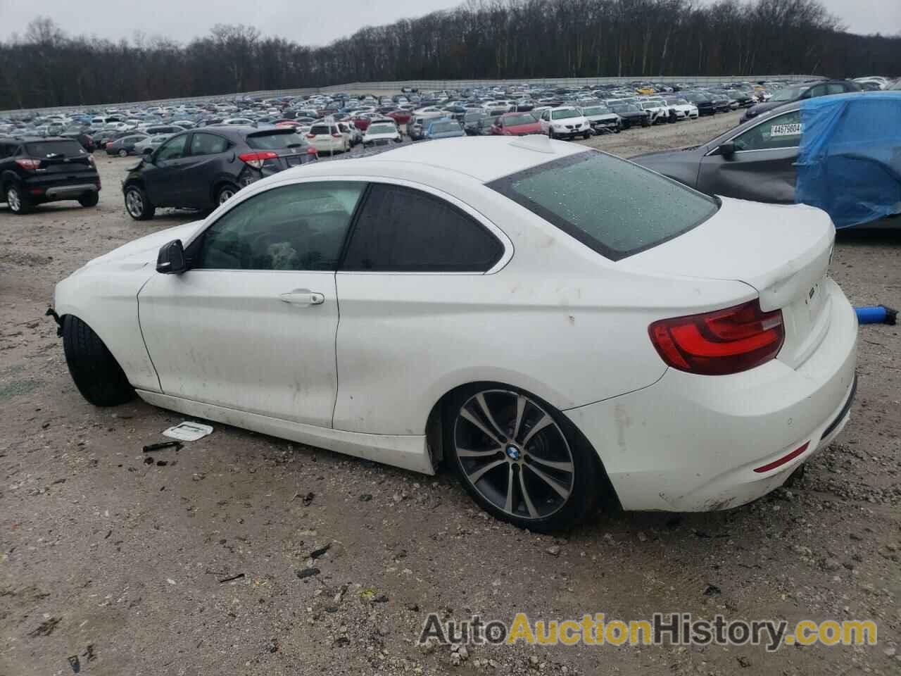 BMW 2 SERIES I, WBA1F5C5XEV255897