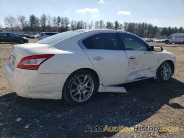 NISSAN MAXIMA S, 1N4AA5AP1BC824090