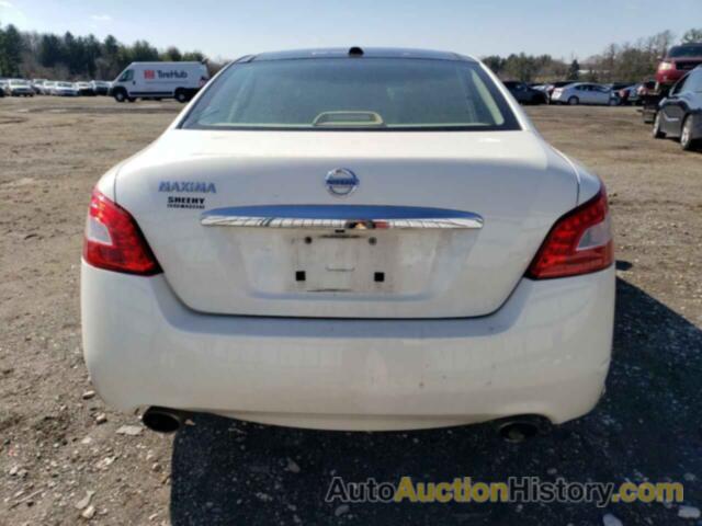 NISSAN MAXIMA S, 1N4AA5AP1BC824090