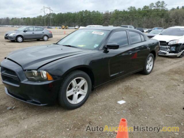 DODGE CHARGER POLICE, 2C3CDXAGXDH689976