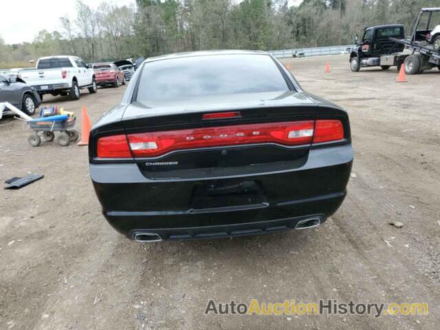 DODGE CHARGER POLICE, 2C3CDXAGXDH689976