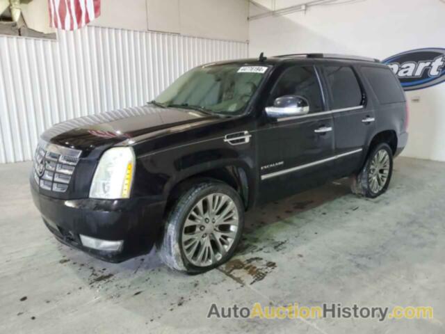 CADILLAC ESCALADE, 1GYUKAEF0AR135677