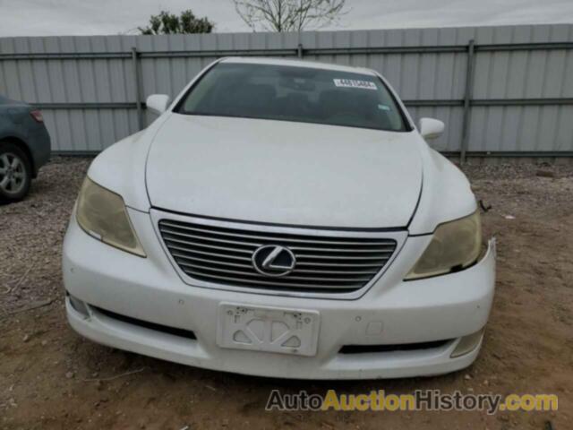 LEXUS LS460 460L, JTHGL46F085027642