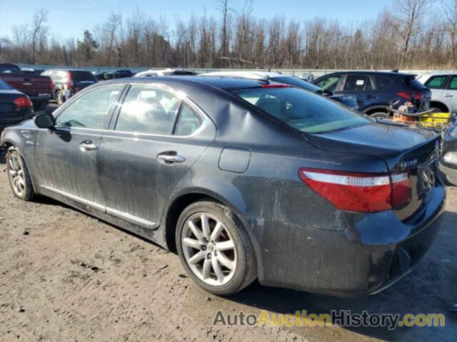 LEXUS LS460 460, JTHBL46F275040644