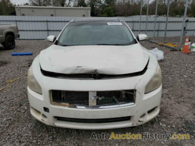 NISSAN MAXIMA S, 1N4AA5AP3BC835690