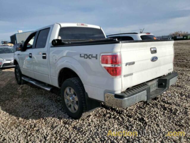FORD F-150 SUPERCREW, 1FTFW1EF8BFD11865