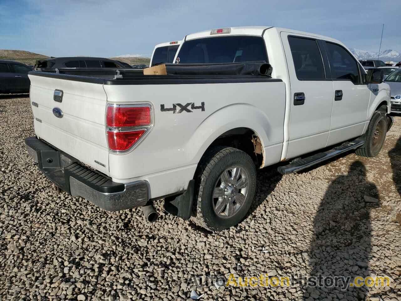 FORD F-150 SUPERCREW, 1FTFW1EF8BFD11865