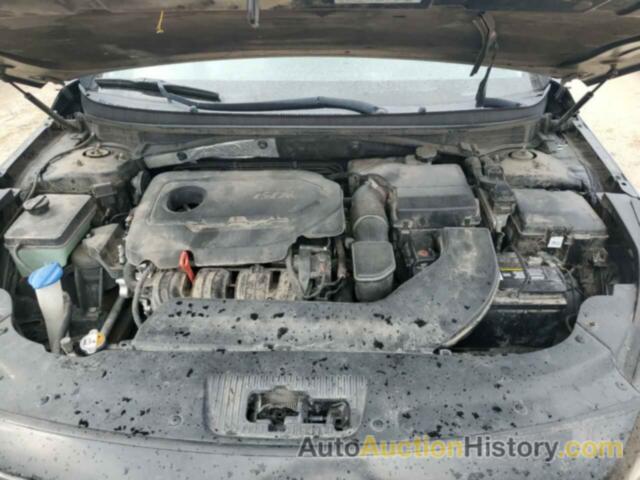 HYUNDAI SONATA SPORT, 5NPE34AF5FH218454