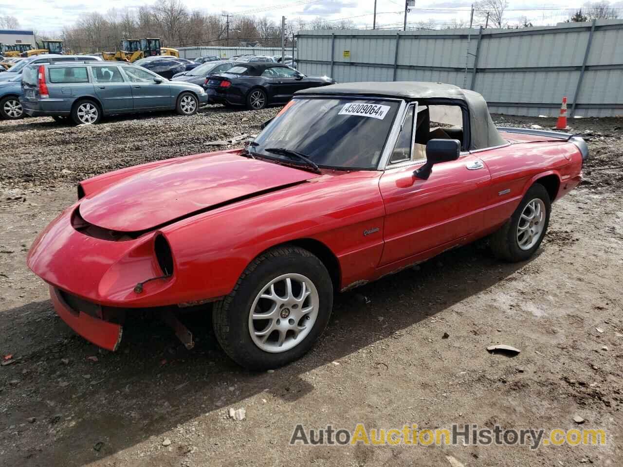 ALFA ROMEO ALL MODELS 2000 SPIDER, ZARBA5411G1044234