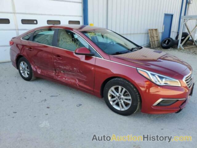 HYUNDAI SONATA SE, 5NPE24AF1GH416436