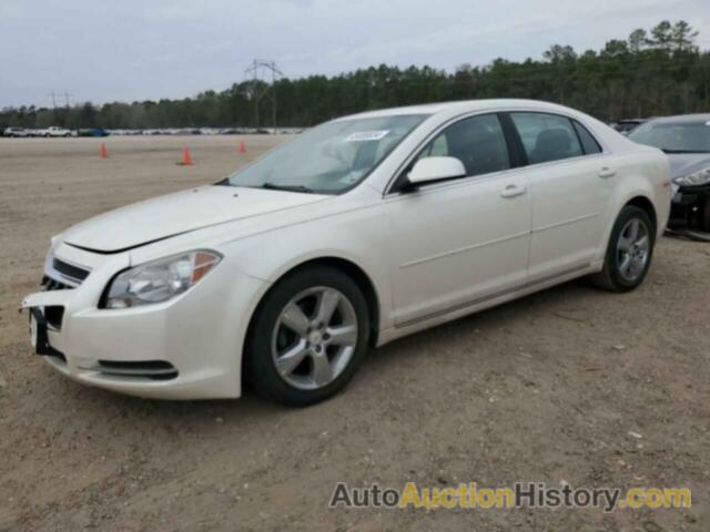 CHEVROLET MALIBU 1LT, 1G1ZC5E19BF344416