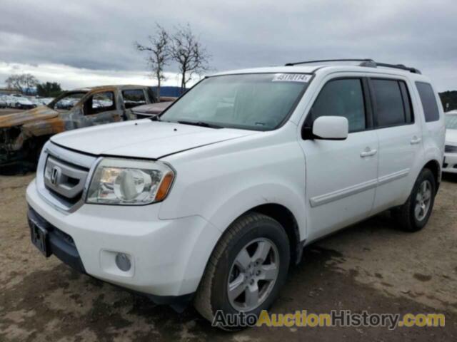 HONDA PILOT EX, 5FNYF4H44BB004508