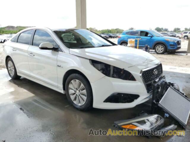 HYUNDAI SONATA HYBRID, KMHE24L15GA010650