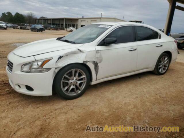 NISSAN MAXIMA S, 1N4AA5AP4BC831177