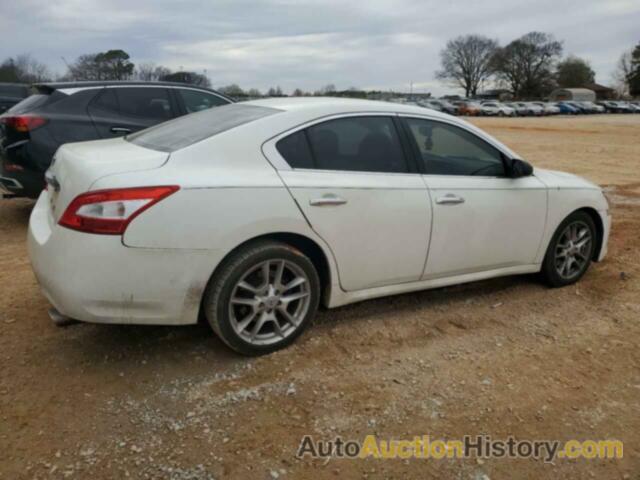 NISSAN MAXIMA S, 1N4AA5AP4BC831177