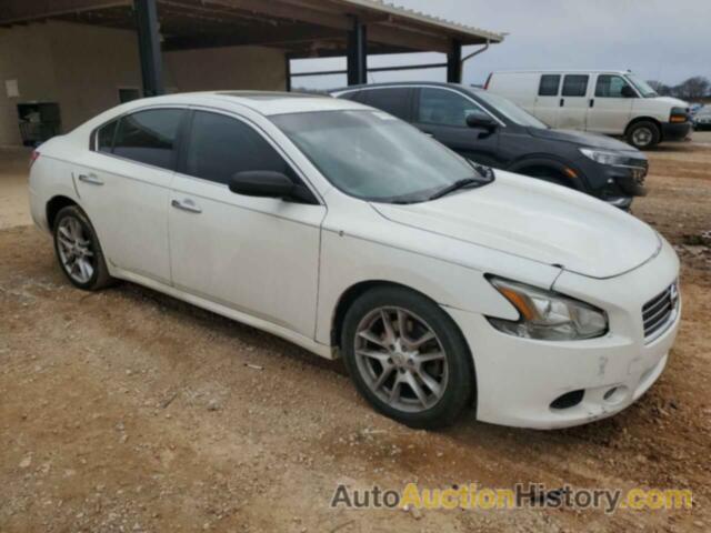 NISSAN MAXIMA S, 1N4AA5AP4BC831177