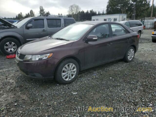 KIA FORTE EX, KNAFU4A26A5163095