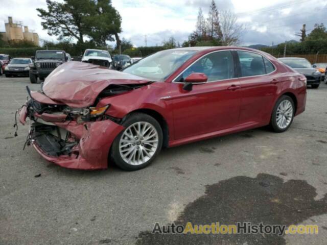 TOYOTA CAMRY XLE, 4T1F31AK8LU539580