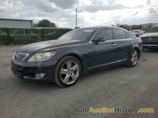 LEXUS LS460 460, JTHBL5EF8B5102306