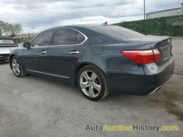 LEXUS LS460 460, JTHBL5EF8B5102306