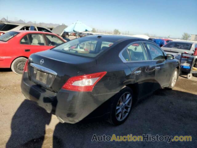 NISSAN MAXIMA S, 1N4AA5AP6BC835893