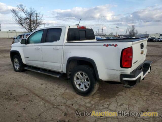 CHEVROLET COLORADO LT, 1GCGTCE31G1354589