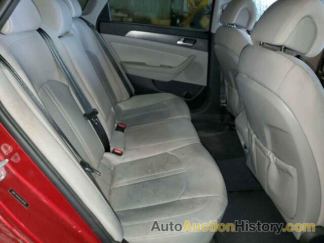 HYUNDAI SONATA SPORT, 5NPE34AF9FH126781