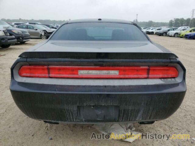 DODGE CHALLENGER SXT, 2C3CDYAG9CH206885