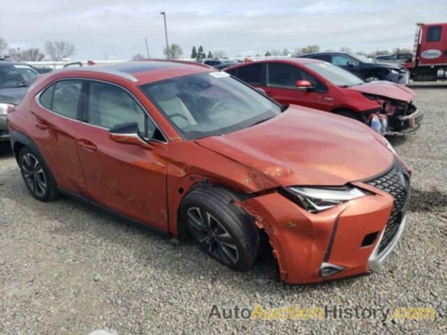 LEXUS UX 200 200, JTHY3JBH9K2013919