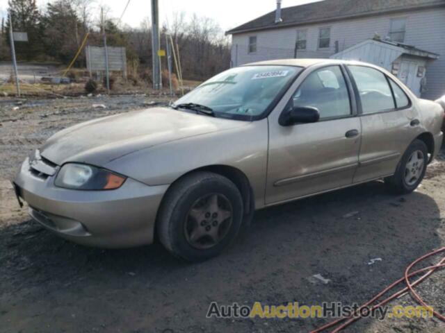 CHEVROLET CAVALIER, 1G1JC52F557142281