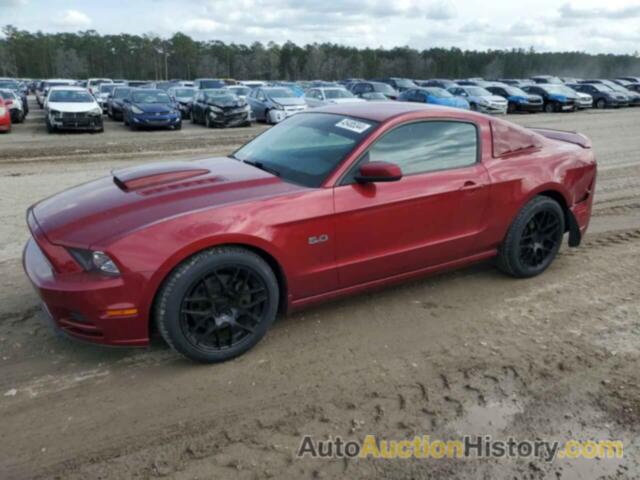 FORD MUSTANG GT, 1ZVBP8CF8E5257921