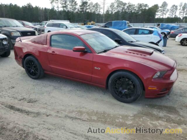 FORD MUSTANG GT, 1ZVBP8CF8E5257921