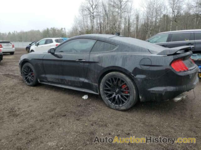FORD MUSTANG GT, 1FA6P8CF1L5159045
