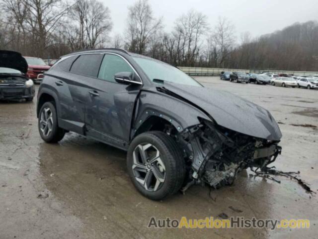 HYUNDAI TUCSON LIMITED, 5NMJECAE5PH207611