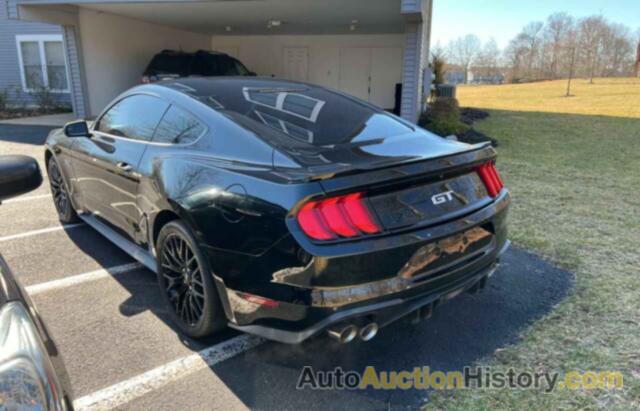 FORD MUSTANG GT, 1FA6P8CF0J5115843