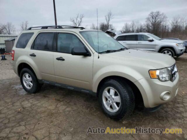 FORD ESCAPE XLT, 1FMCU0DG5BKA67561