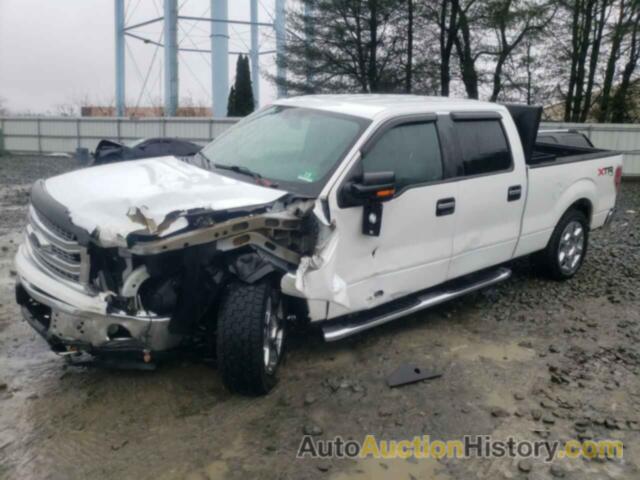 FORD F-150 SUPERCREW, 1FTFW1EF8EFA50306