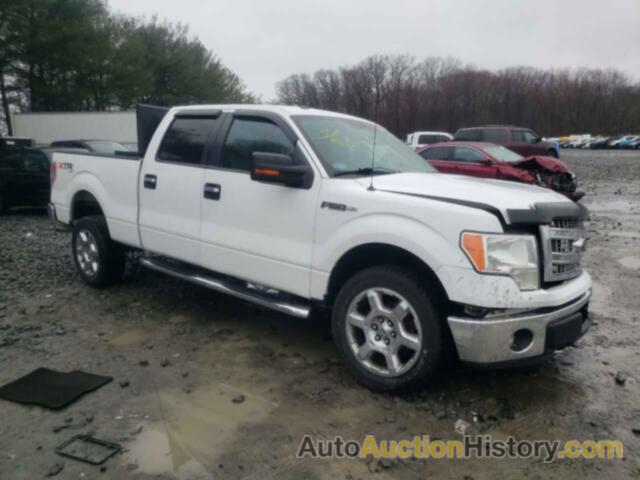 FORD F-150 SUPERCREW, 1FTFW1EF8EFA50306