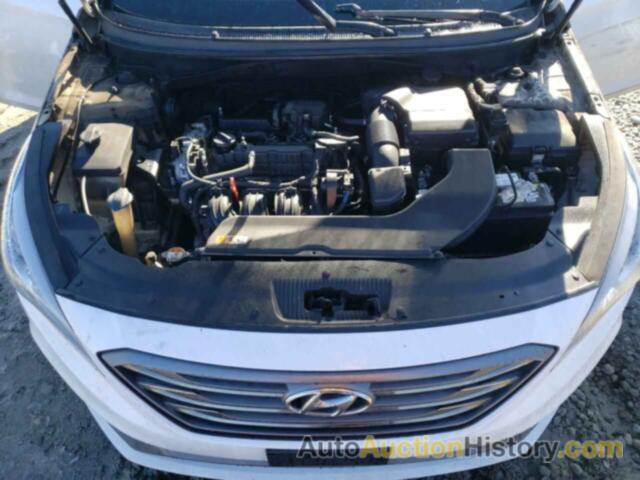 HYUNDAI SONATA SPORT, 5NPE34AF0HH513030