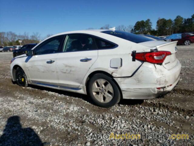 HYUNDAI SONATA SPORT, 5NPE34AF0HH513030