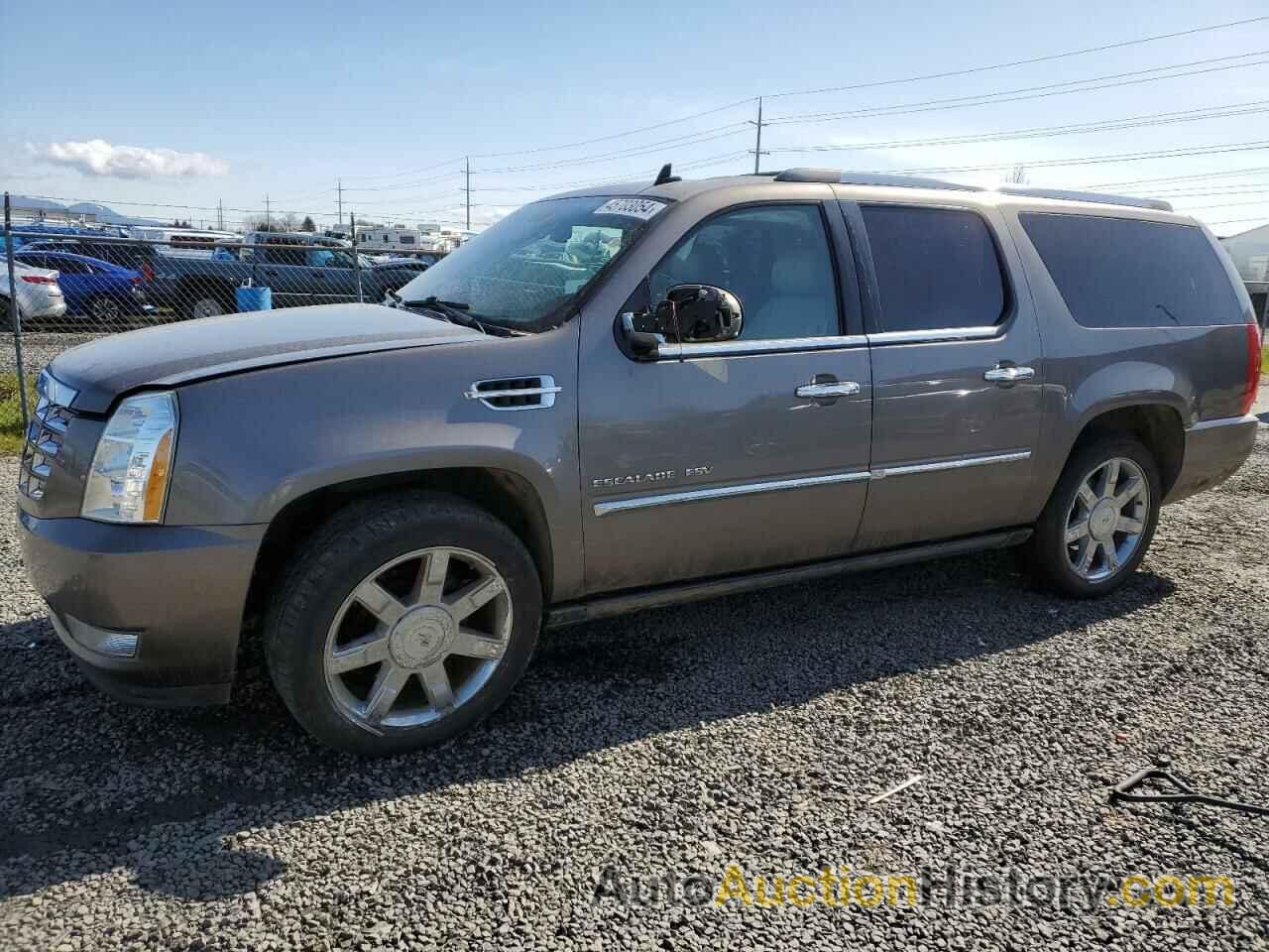 CADILLAC ESCALADE ESV PREMIUM, 1GYS4JEF1BR146321