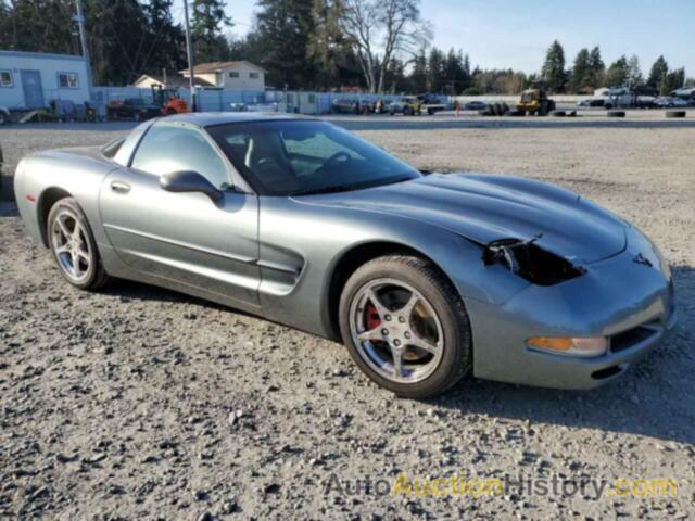 CHEVROLET CORVETTE, 1G1YY22G945119071