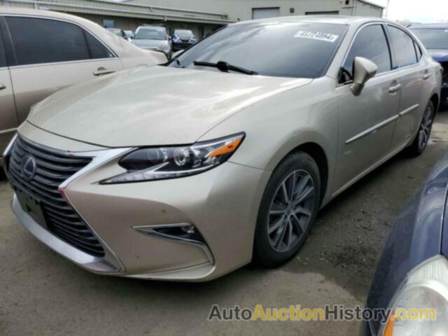 LEXUS ES300 300H, JTHBW1GG5G2131678